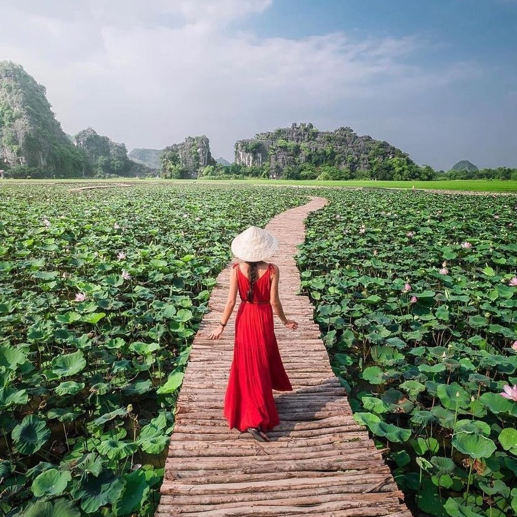 Ninh BÌnh MÙa Sen NỞ