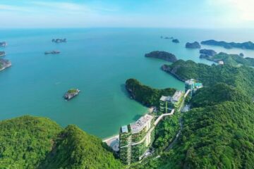 512668601 2578884712443871 2528157360144614886 n