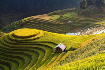 Du lịch hà giang
