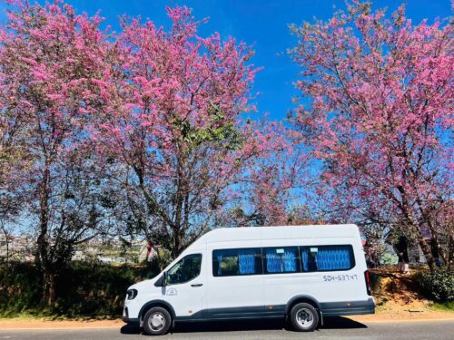 Thuê xe Huy Đạt cung cấp dịch vụ thuê xe 18 chỗ đi Cửa Lò chất lượng 